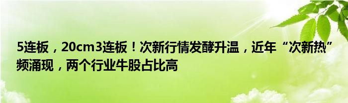 5连板,20cm3连板!次新行情发酵升温,近年“次新热”频涌现,两个行业牛股占比高