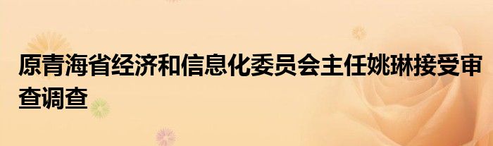 原青海省经济和信息化委员会主任姚琳接受审查调查