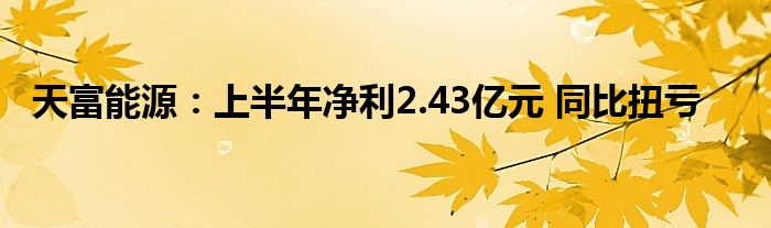 天富能源:上半年净利2.43亿元 同比扭亏