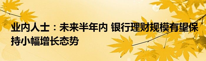 业内人士:未来半年内 银行理财规模有望保持小幅增长态势