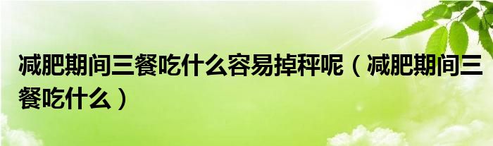 减肥期间三餐吃什么容易掉秤呢(减肥期间三餐吃什么)