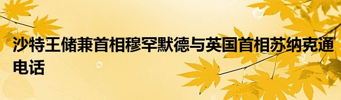 沙特王储兼首相穆罕默德与英国首相苏纳克通电话