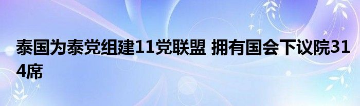泰国为泰党组建11党联盟 拥有国会下议院314席