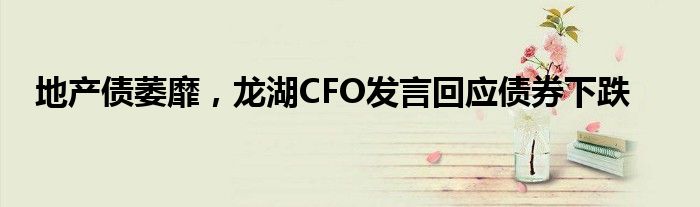 地产债萎靡,龙湖CFO发言回应债券下跌