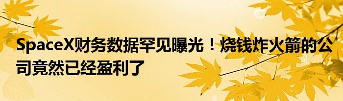 SpaceX财务数据罕见曝光!烧钱炸火箭的公司竟然已经盈利了