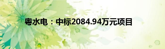 粤水电:中标2084.94万元项目