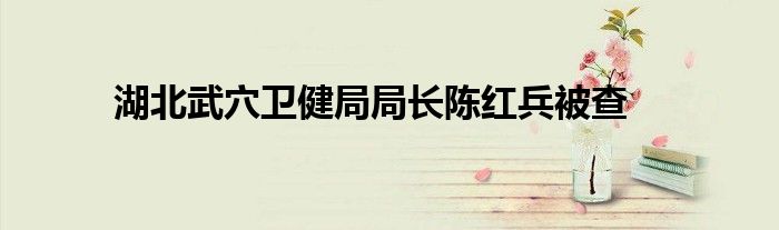 湖北武穴卫健局局长陈红兵被查
