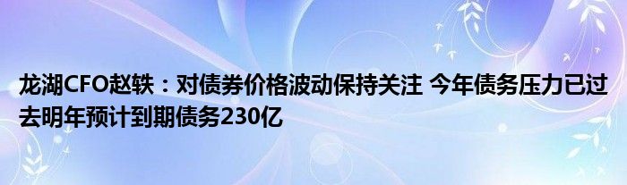 龙湖CFO赵轶:对债券价格波动保持关注 今年债务压力已过去明年预计到期债务230亿