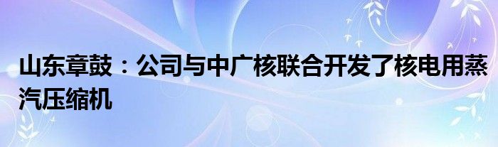山东章鼓:公司与中广核联合开发了核电用蒸汽压缩机