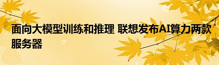 面向大模型训练和推理 联想发布AI算力两款服务器
