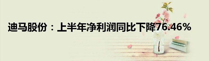 迪马股份:上半年净利润同比下降76.46%