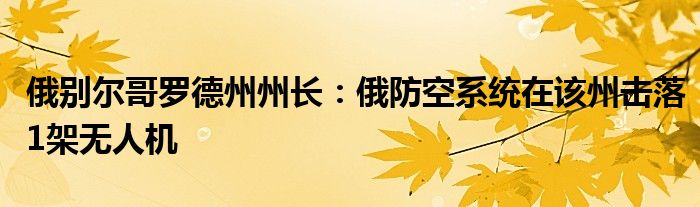 俄别尔哥罗德州州长:俄防空系统在该州击落1架无人机