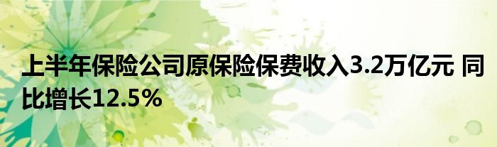 上半年保险公司原保险保费收入3.2万亿元 同比增长12.5%