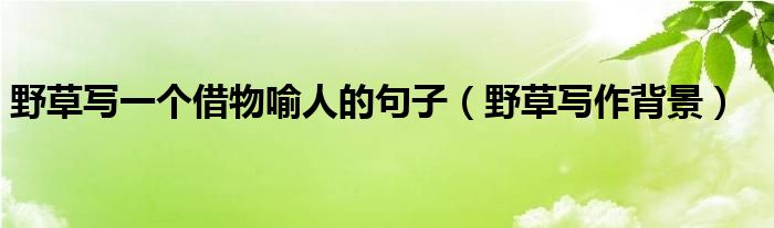 野草写一个借物喻人的句子(野草写作背景)