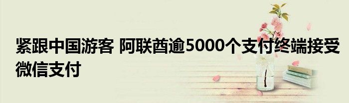 紧跟中国游客 阿联酋逾5000个支付终端接受微信支付