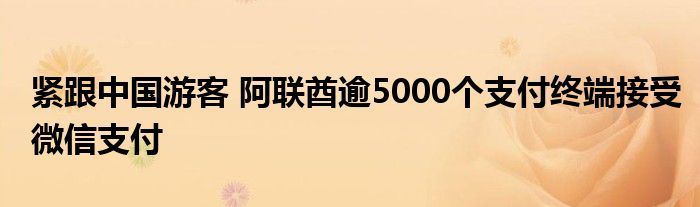 紧跟中国游客 阿联酋逾5000个支付终端接受微信支付