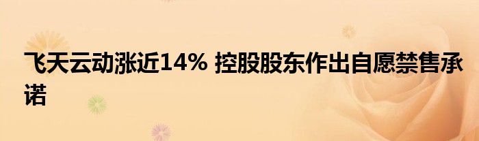 飞天云动涨近14% 控股股东作出自愿禁售承诺