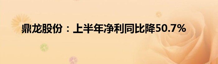 鼎龙股份:上半年净利同比降50.7%