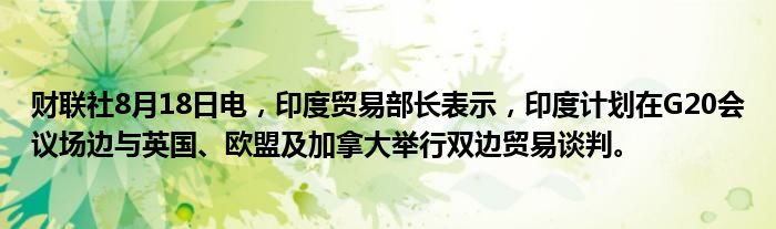 财联社8月18日电,印度贸易部长表示,印度计划在G20会议场边与英国、欧盟及加拿大举行双边贸易谈判。