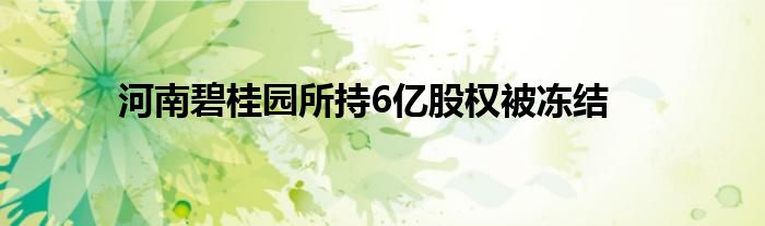 河南碧桂园所持6亿股权被冻结