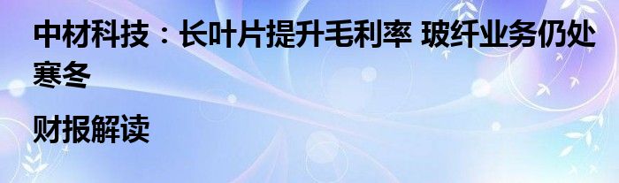 中材科技:长叶片提升毛利率 玻纤业务仍处寒冬|财报解读