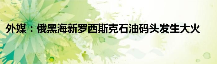 外媒:俄黑海新罗西斯克石油码头发生大火