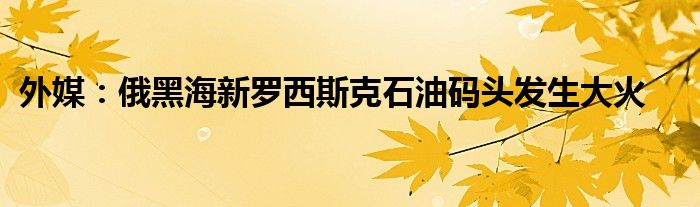 外媒:俄黑海新罗西斯克石油码头发生大火