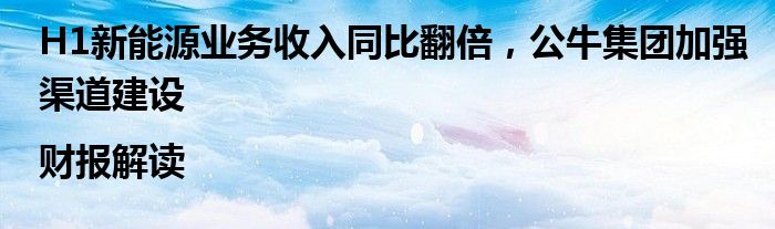 H1新能源业务收入同比翻倍,公牛集团加强渠道建设|财报解读