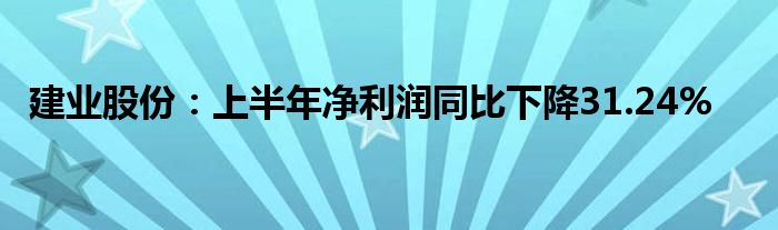 建业股份：上半年净利润同比下降31.24%