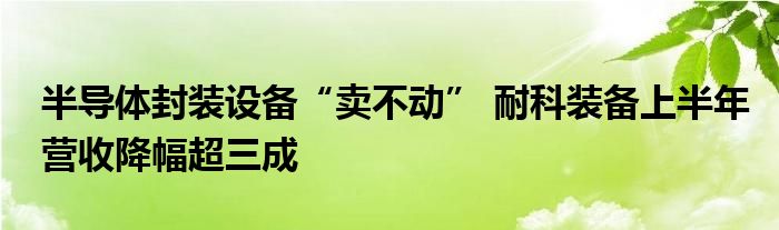 半导体封装设备“卖不动” 耐科装备上半年营收降幅超三成