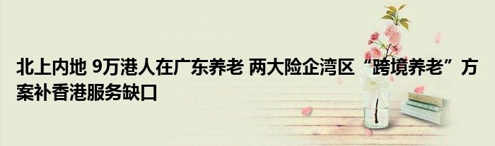 北上内地 9万港人在广东养老 两大险企湾区“跨境养老”方案补香港服务缺口