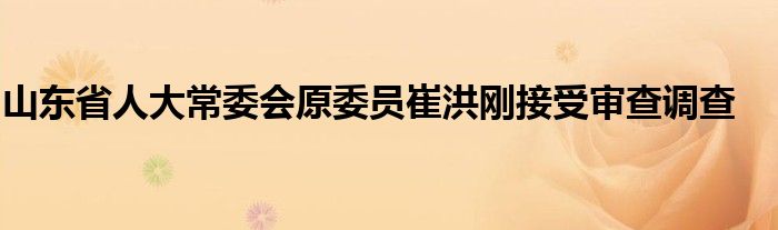 山东省人大常委会原委员崔洪刚接受审查调查