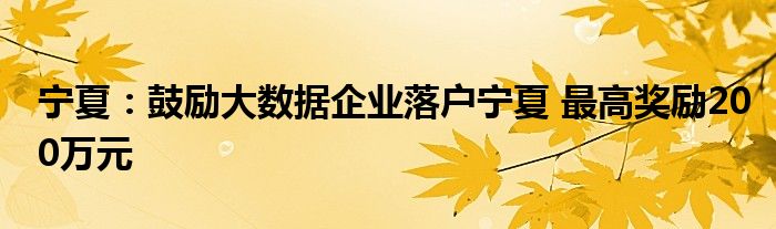 宁夏:鼓励大数据企业落户宁夏 最高奖励200万元