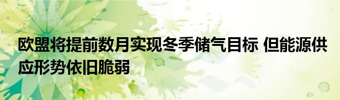 欧盟将提前数月实现冬季储气目标 但能源供应形势依旧脆弱