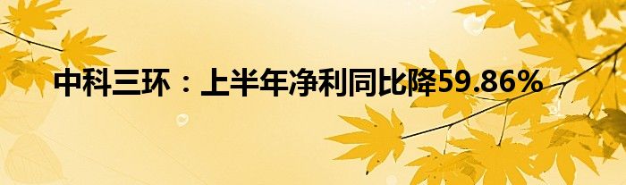 中科三环:上半年净利同比降59.86%