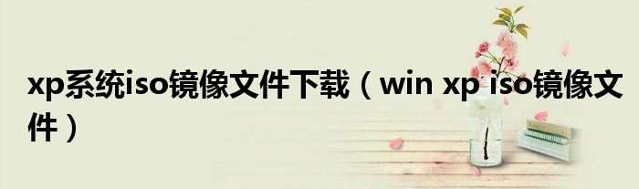 xp系统iso镜像文件下载（win xp iso镜像文件）