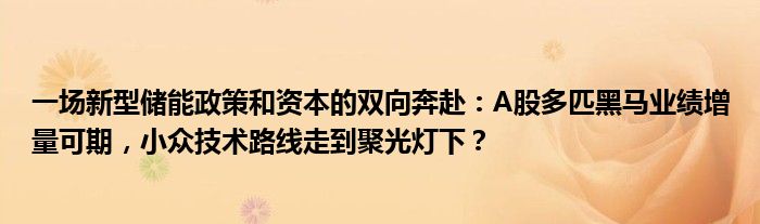 一场新型储能政策和资本的双向奔赴:A股多匹黑马业绩增量可期,小众技术路线走到聚光灯下?