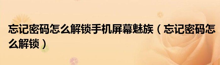 忘记密码怎么解锁手机屏幕魅族(忘记密码怎么解锁)