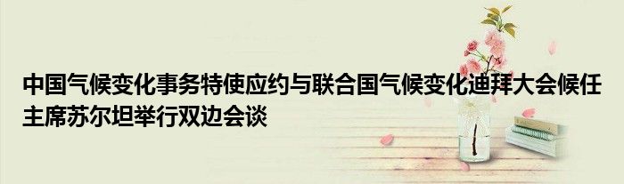 中国气候变化事务特使应约与联合国气候变化迪拜大会候任主席苏尔坦举行双边会谈