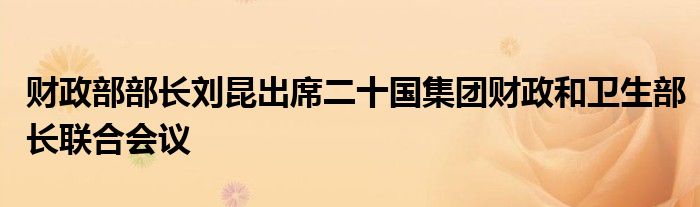 财政部部长刘昆出席二十国集团财政和卫生部长联合会议