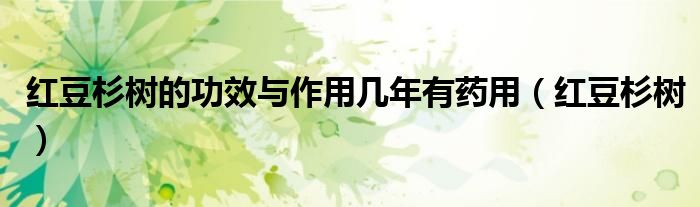 红豆杉树的功效与作用几年有药用(红豆杉树)