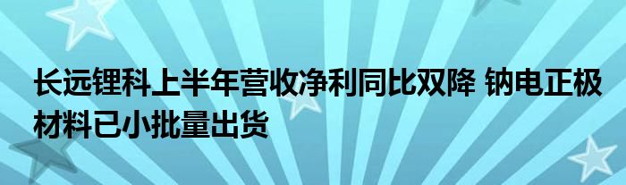 长远锂科上半年营收净利同比双降 钠电正极材料已小批量出货
