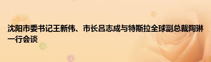 沈阳市委书记王新伟、市长吕志成与特斯拉全球副总裁陶琳一行会谈