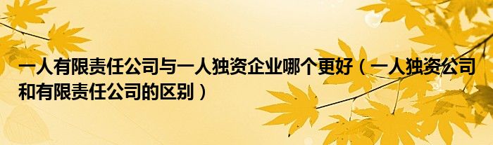 一人有限责任公司与一人独资企业哪个更好(一人独资公司和有限责任公司的区别)