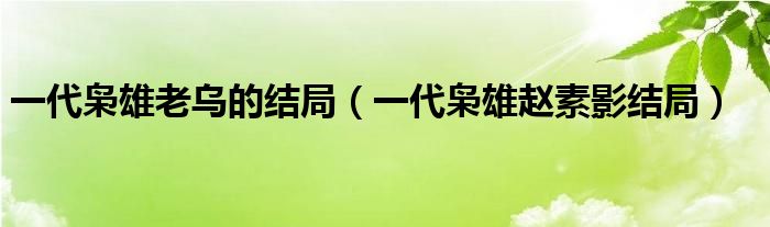 一代枭雄老乌的结局(一代枭雄赵素影结局)