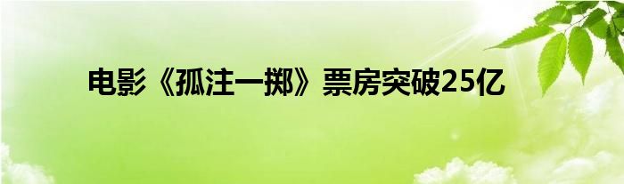 电影《孤注一掷》票房突破25亿