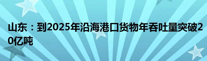 山东:到2025年沿海港口货物年吞吐量突破20亿吨