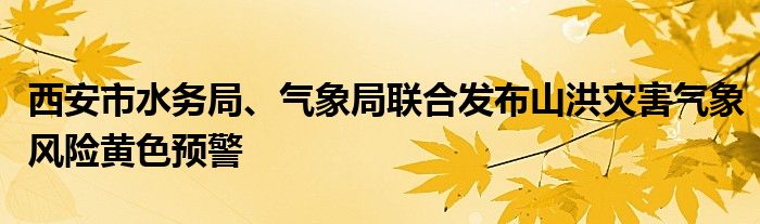西安市水务局、气象局联合发布山洪灾害气象风险黄色预警