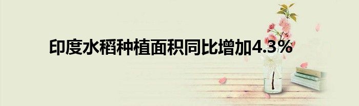 印度水稻种植面积同比增加4.3%
