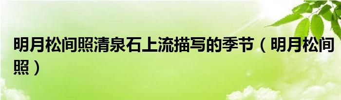 明月松间照清泉石上流描写的季节(明月松间照)